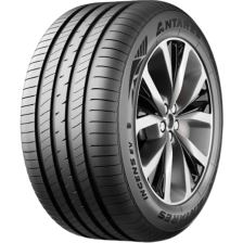 Antares Ingens EV 205/55 R17 91V  