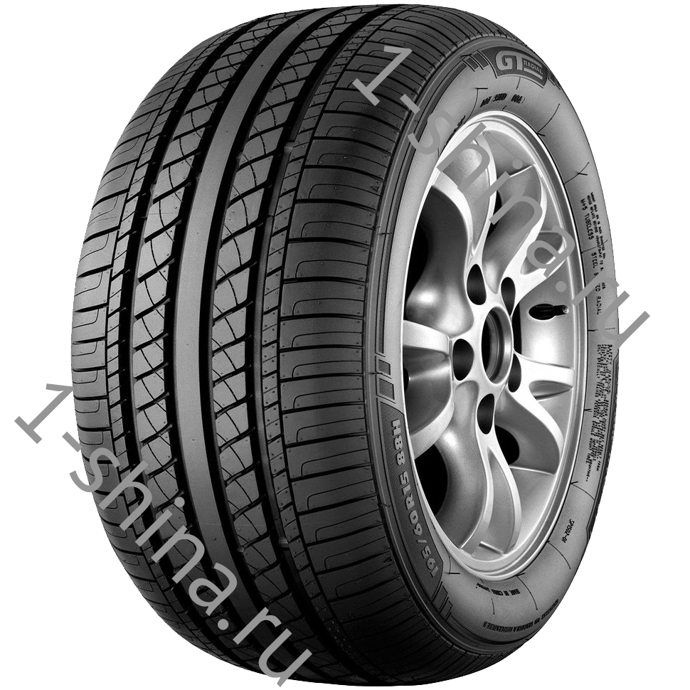 GT Radial Champiro VP1